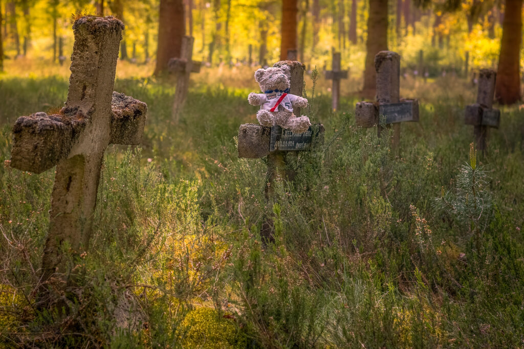 Teddybear