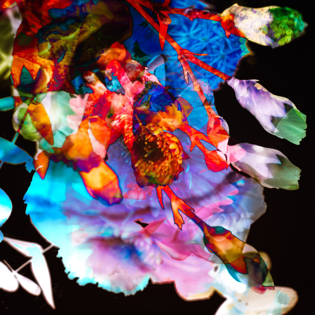 Bloemen