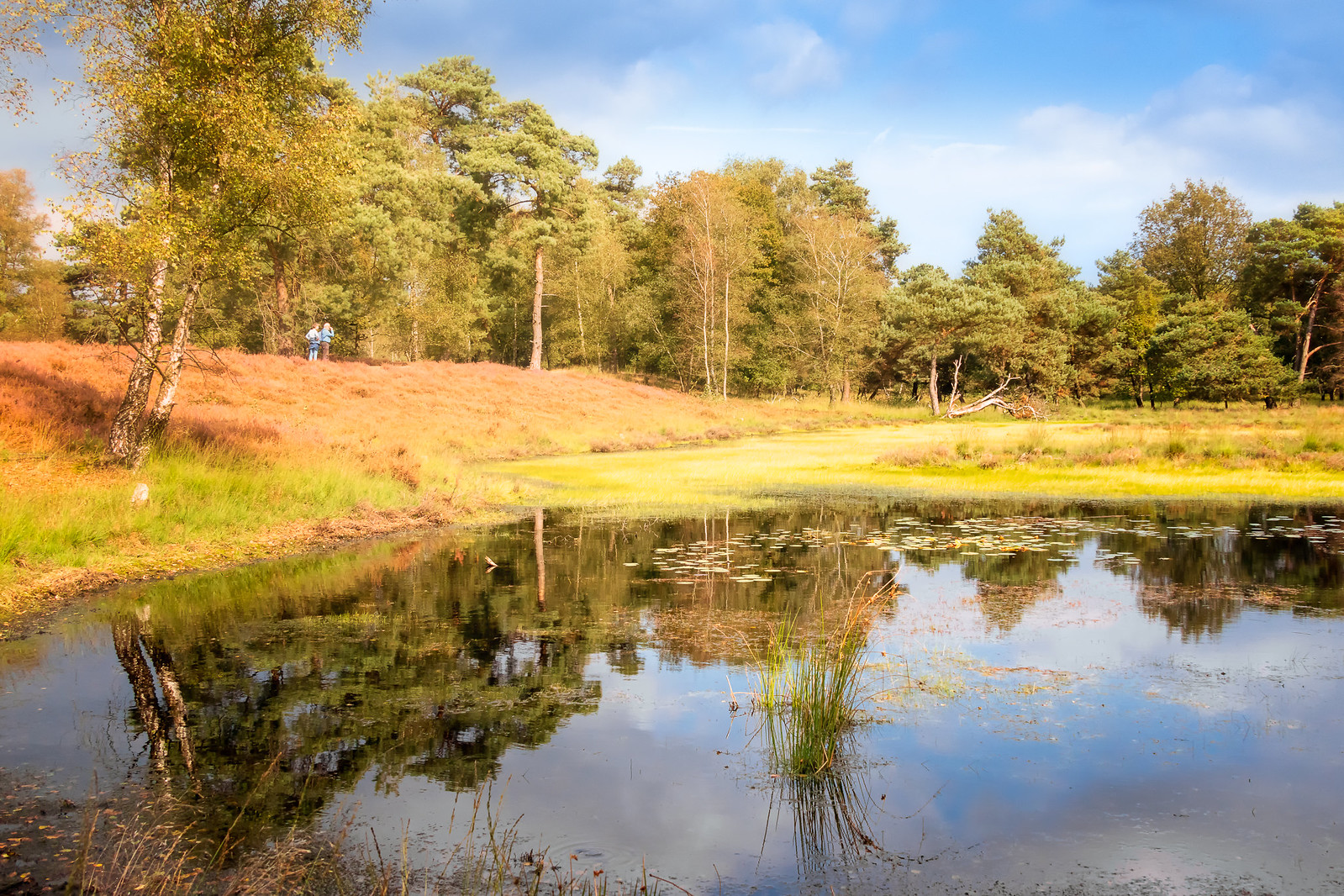 Beegderheide