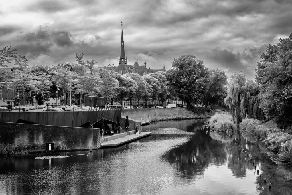 Dommel