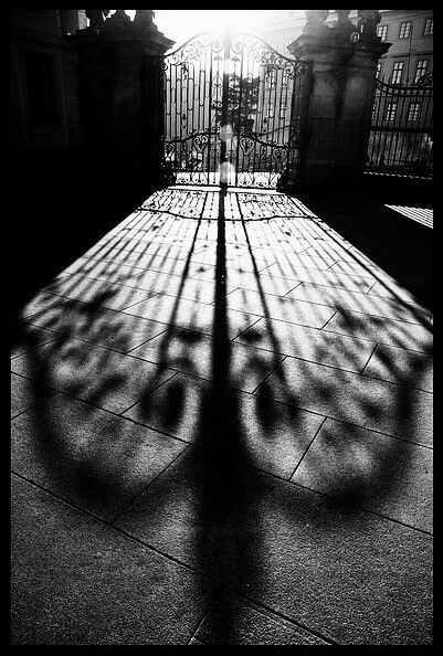 Zwart-witfoto van André Kertész