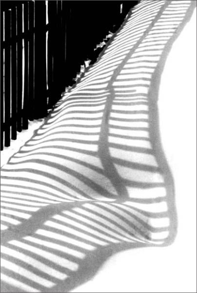 Zwart-witfoto van André Kertész
