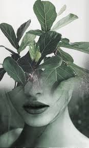 Antonio Mora