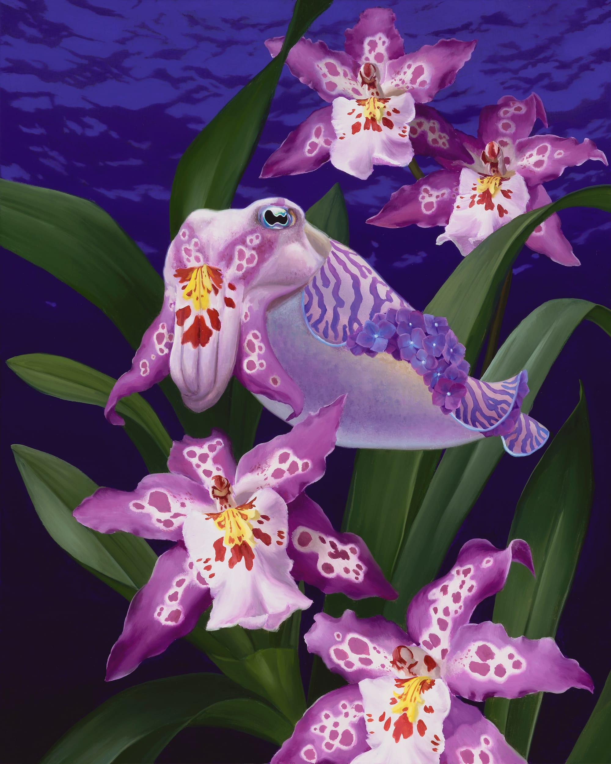 “Harlequin”