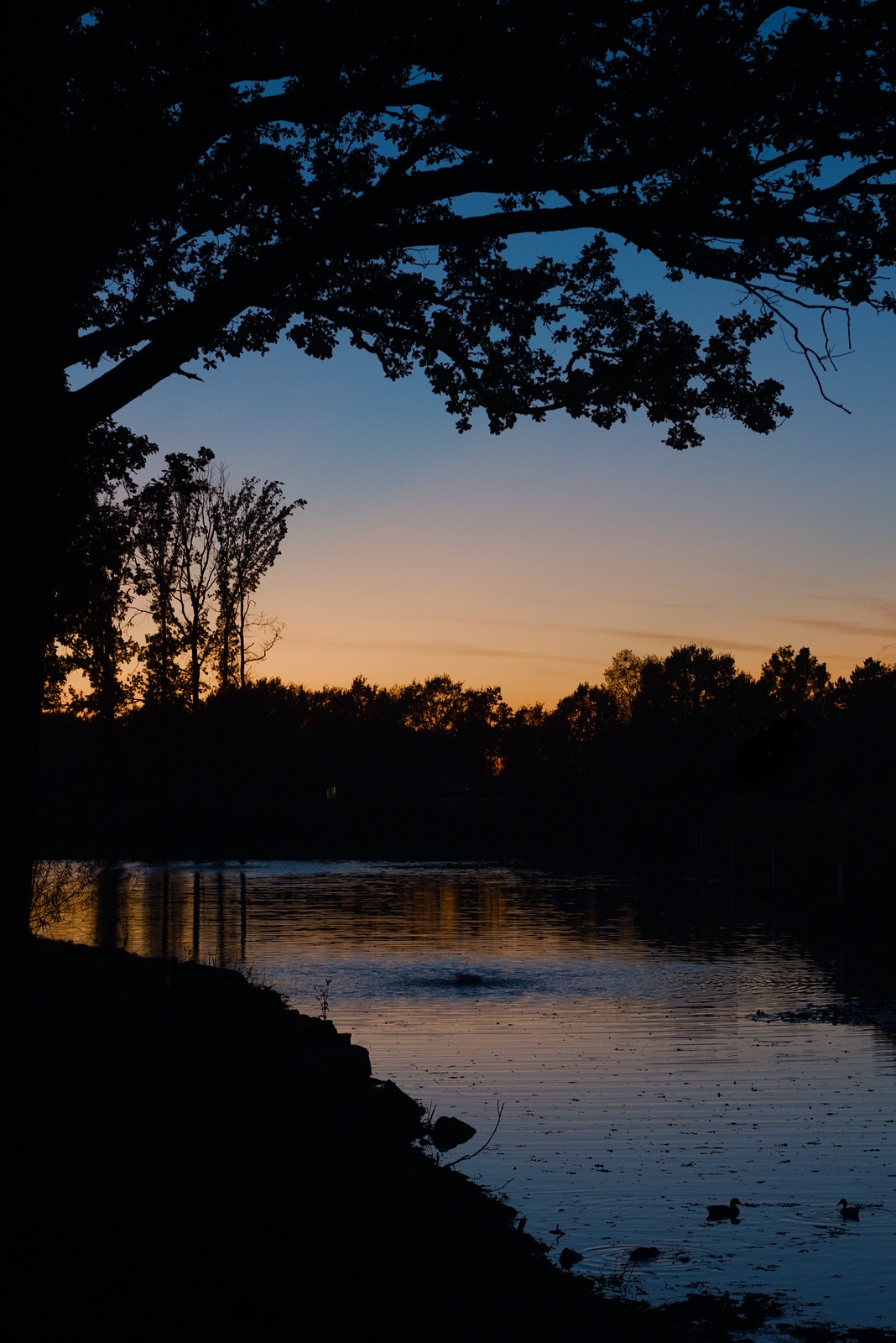 Zonsondergang aan het water in Heythuysen met silhouetten van bomen