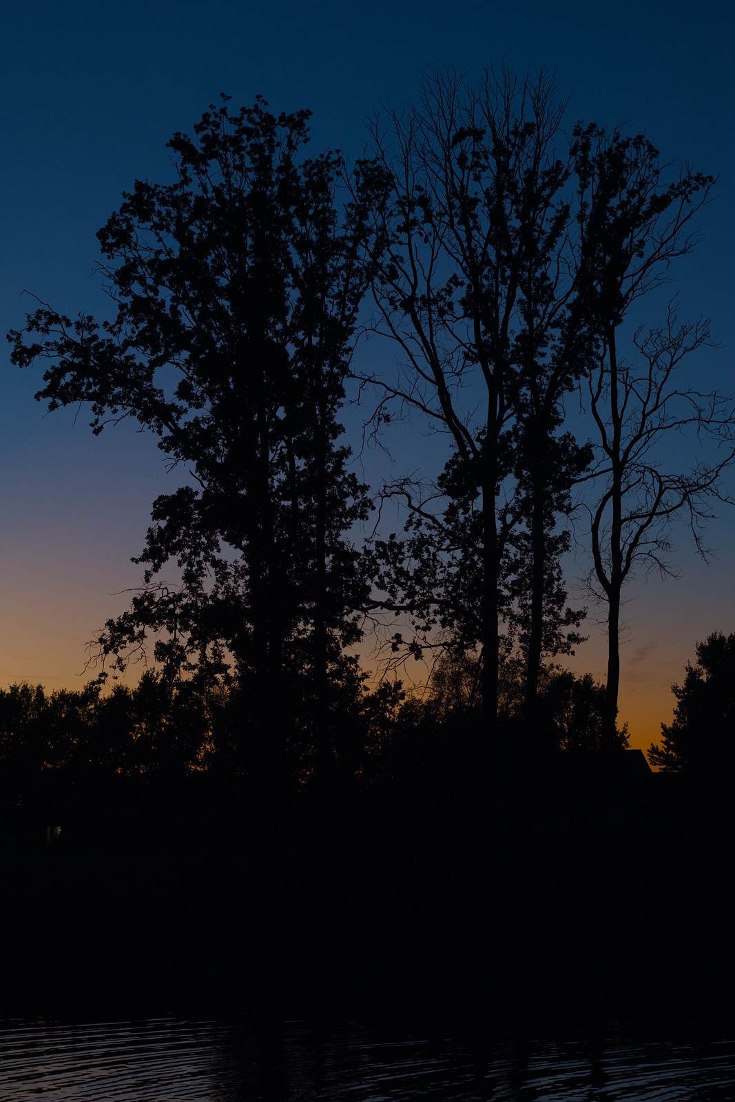 Kijkend door de takken naar de oranje lucht boven het Kerreven