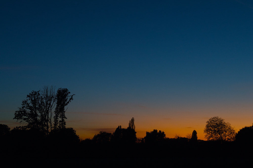 Laatste oranje licht boven de bomen aan het Kerreven
